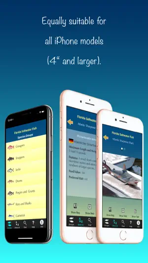 Florida Saltwater Fish screenshot 2