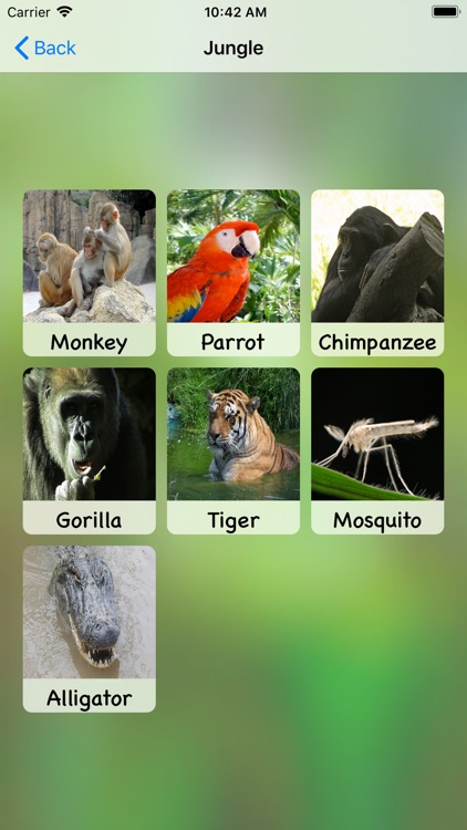 Fun Animal Sounds for Kids screenshot-3