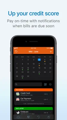 Chronicle - Bill Organizer 3