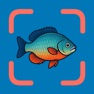 Get Fish Verify: Fish Identifier for iOS, iPhone, iPad Aso Report
