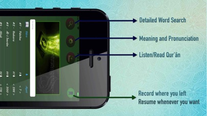 Offline Quran Audio Reader Pro Screenshot