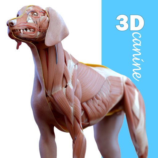 Complete Canine Anatomy 3D