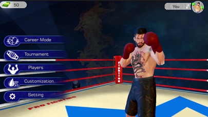 Boxing Star Fight: Hit Action Screenshot