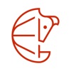 Ski Armadillo