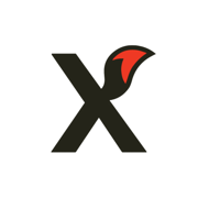 infoX: Borsa Hisse Yatırım Fon
