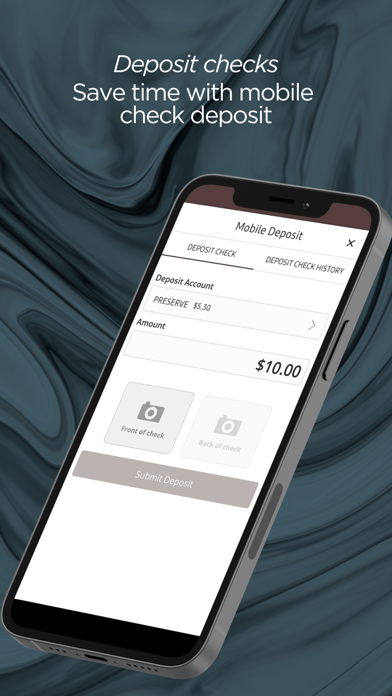 Volunteer Bank iPhone screenshot 4 - Finance app