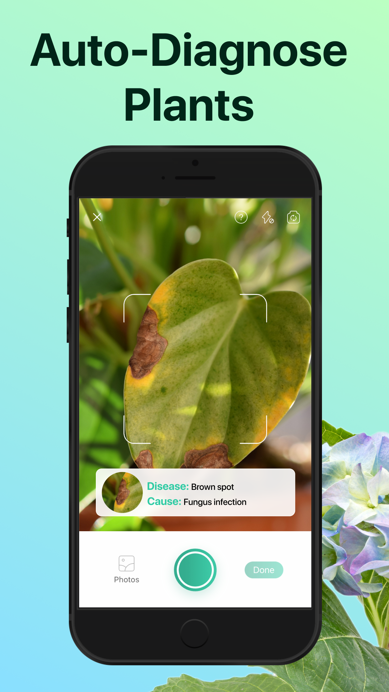 PictureThis - Plant Identifier screenshot 4