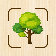 Tree Identifier: Wood & Plants
