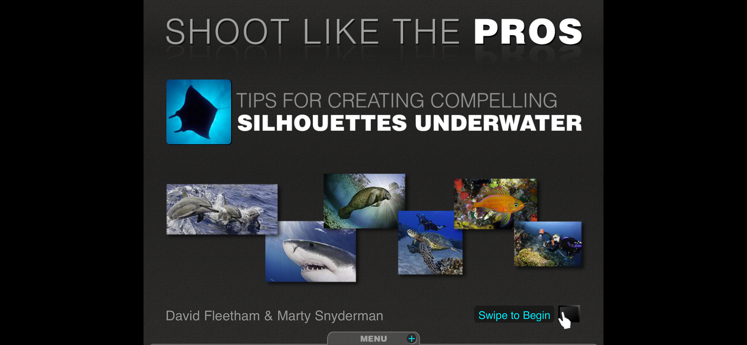 Silhouettes Underwater