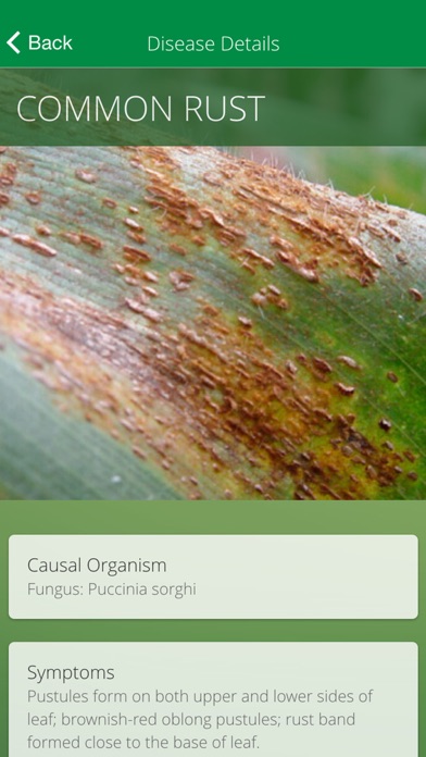 PANNAR Sprout Screenshot