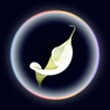 Mindfulplay icon