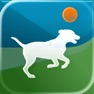 Get Dog forest for iOS, iPhone, iPad Aso Report