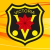HV Victoria icon