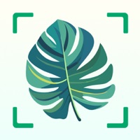 Plant Identifier AI – Plant ID