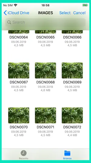 Video Maker+ screenshot 3