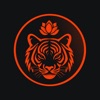 FT Chill App icon