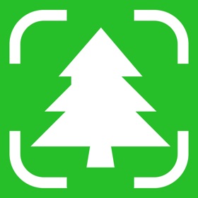 Tree Identifier: Wood & Leaf 