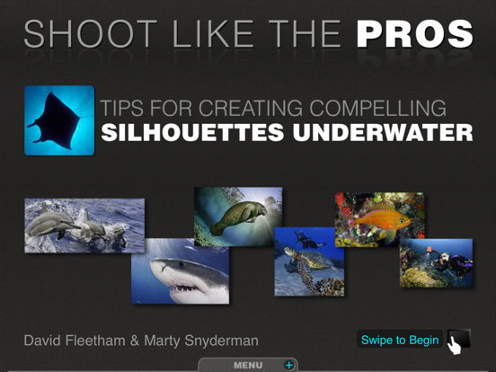 Screenshot #4 pour Silhouettes Underwater