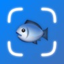 Get Fish Verify ° for iOS, iPhone, iPad Aso Report