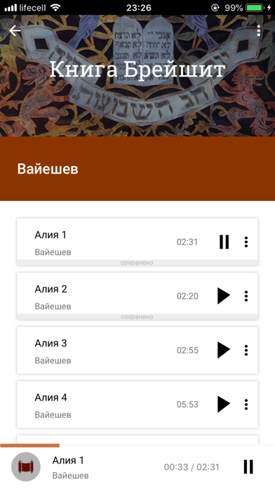 АудиоТора - Недельная Глава iPhone screenshot 6 - Book app