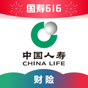 中国人寿财险