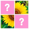 Word Pics - Trivia Puzzles icon