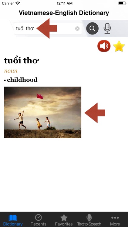 Vietnamese-English Dictionary. screenshot-4