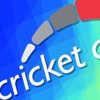 Cricket Clinic icon
