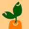 Veggify | Vegan Recipes