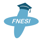 FN'ESI GAME на пк