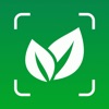 Plant ID: Nature Identifier AI icon