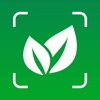 Plant ID: Identifier & Care - Reman Attar