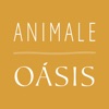 Animale - Moda Feminina icon