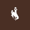 Wyoming Community Bank icon