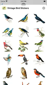 vintage bird stickers problems & solutions and troubleshooting guide - 2