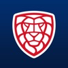 Český-florbal icon