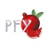 Pomegranate Frozen Yogurt icon