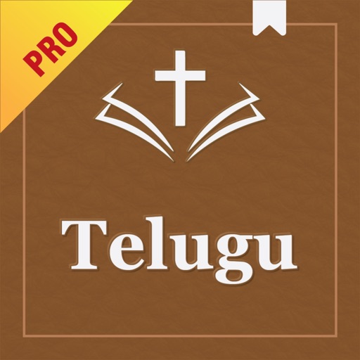 Telugu Study Bible Pro icon