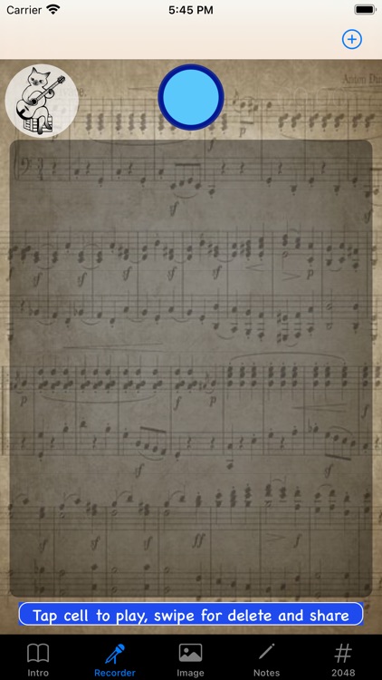 Memo: Elder Friendly