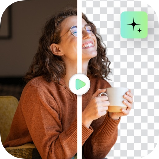 Vid.BG : Ai Video BG Remover