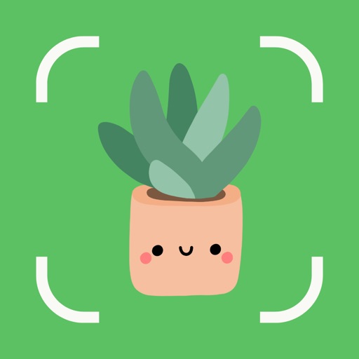 Bloom Buddy Plant Care