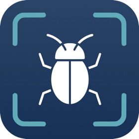 Insect Identifier - II