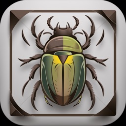 Insect Bug Identifier: Bug App