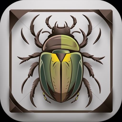 Insect Bug Identifier: Bug App