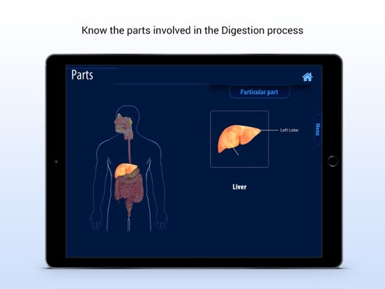 Screenshot #6 pour Human Digestive System
