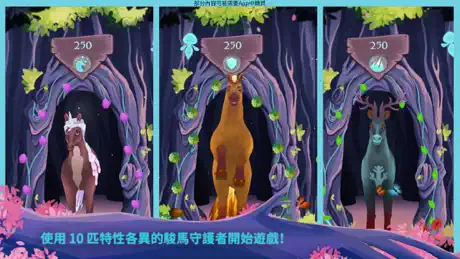 EverRun——駿馬守護者