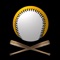 Keep up with the Pittsburgh Pirates by downloading Pittsburgh Baseball, an unofficial Pirates fan app