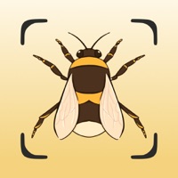 곤충 식별기 곤충 스캔