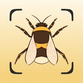 Insect Identifier: Scan Bug