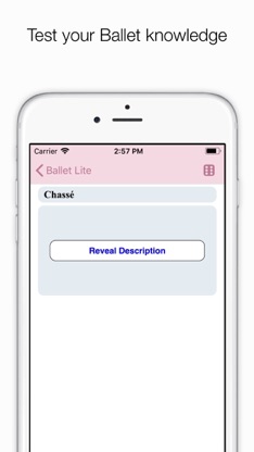 Ballet Index screenshot 4